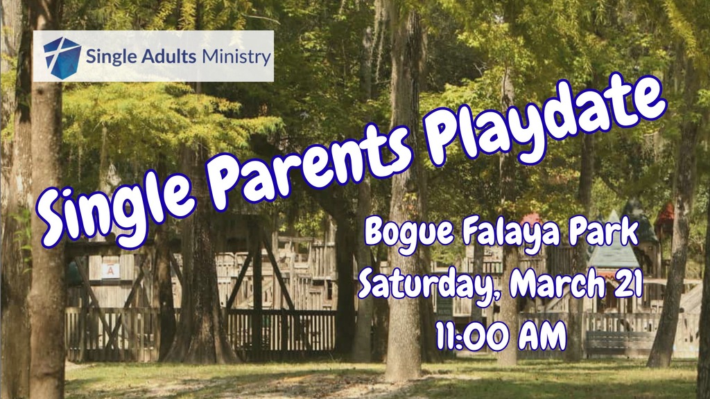 Single Parents Playdate at Bogue Falaya Park Photo
