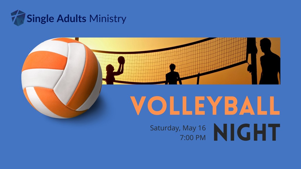 Single Adults Volleyball Photo