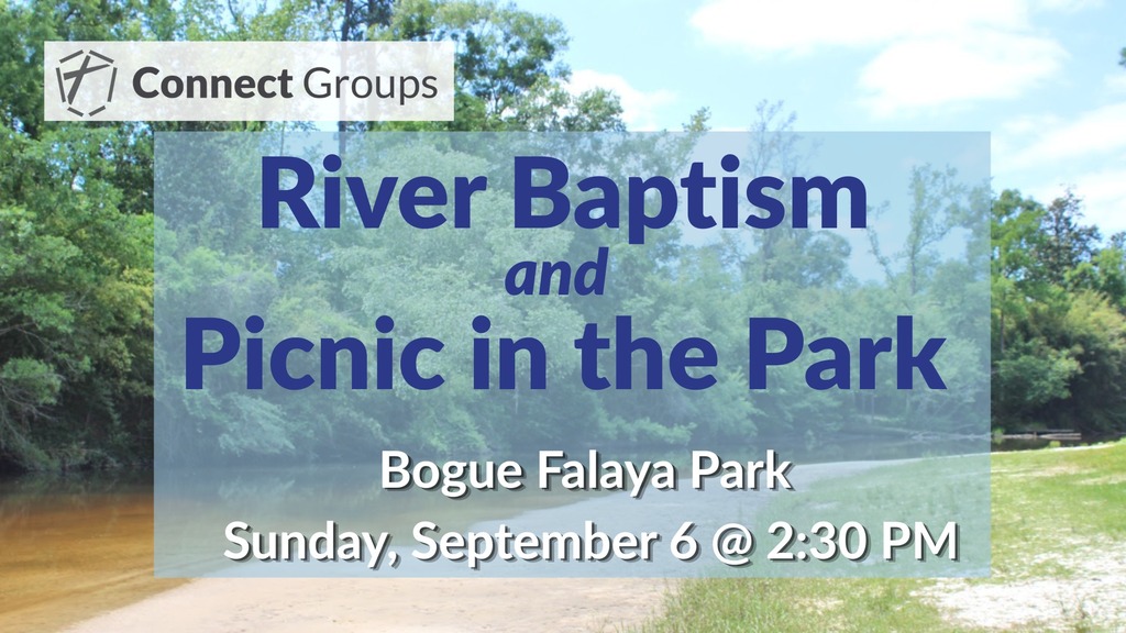 River Baptism and Picnic at Bogue Falaya Park Photo