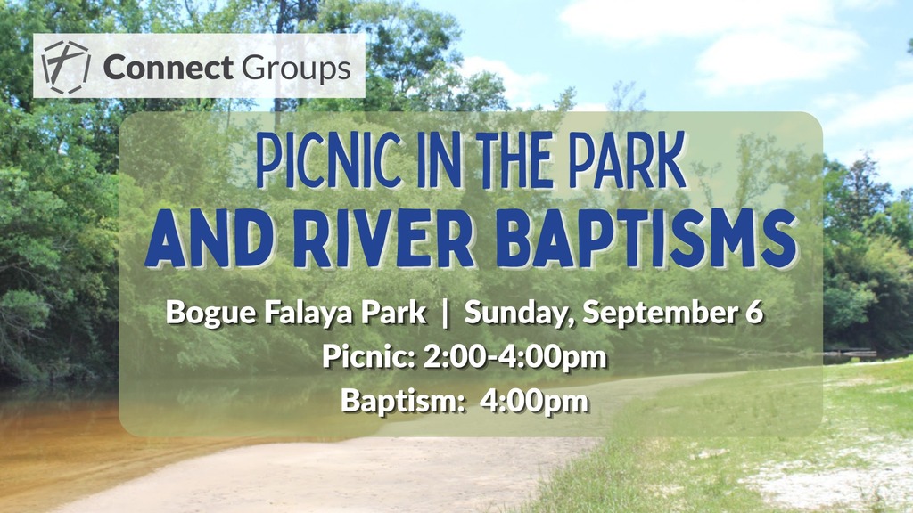 River Baptism and Picnic at Bogue Falaya Park Photo