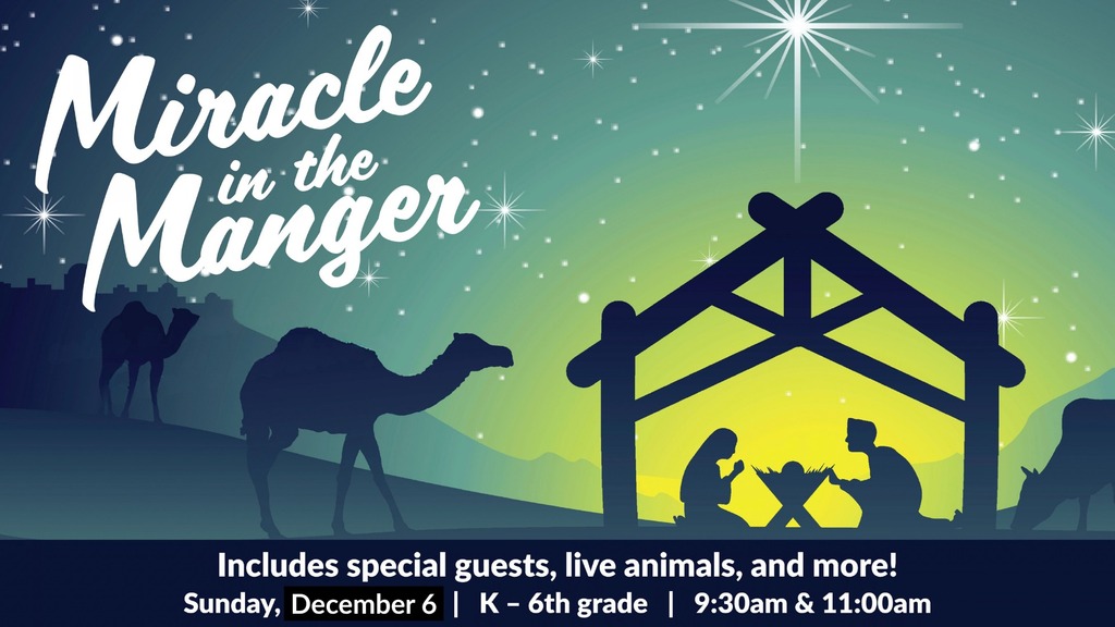 Miracle in a Manger Photo